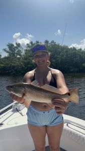Redfish catch in FL