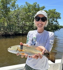 Redfish caught in Ruskin