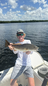 Redfish caught in Ruskin, Florida