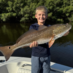 Angler posing with a 32-inch redfish caught in Ruskin