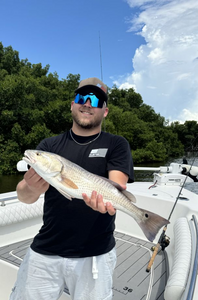 Redfish, 19-inch fish caught while fishing in FL