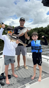 Two redfish caught in Ruskin, Florida