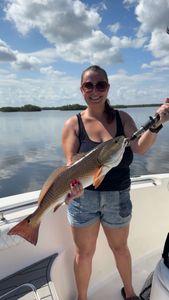 Redfish caught in Ruskin