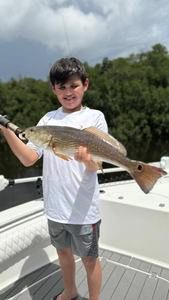 Redfish caught in Ruskin, Florida