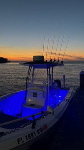 Ruskin fishing adventure