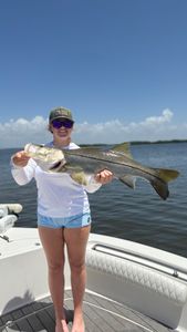 A snook fish caught in FL
