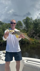 Snook fishing in Florida