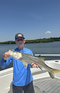 Snook, a single large fish caught while fishing in Ruskin