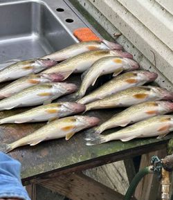  Catching trophy walleye in Lake of the Woods