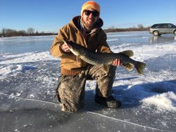 Impressive Northern Pike caught while fishing in MN
