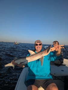 Bonnethead shark caught while fishing in Edgewater FL