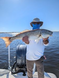 Redfish caught while fishing in Edgewater FL waters