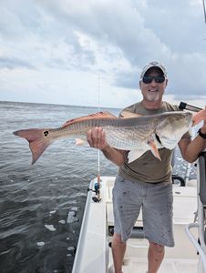 Redfish catch displayed on fishing boat in Edgewater FL waters