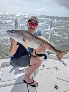 Freshly caught redfish displayed on fishing boat in Edgewater FL waters