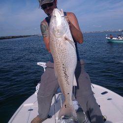 Trophy redfish landed near New Smyrna Beach