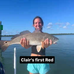 Redfish caught while fishing in Edgewater FL