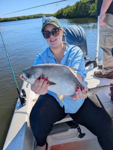 Florida Pompano caught while fishing in Edgewater FL