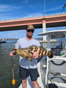Angler holding large Goliath Grouper on fishing boat in Edgewater FL