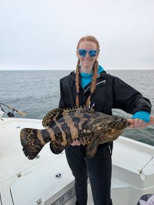 Goliath grouper caught while fishing in Edgewater FL