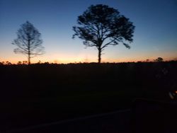 Scenic fishing spot at unknown location