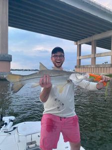 Snook fish caught while fishing in Edgewater