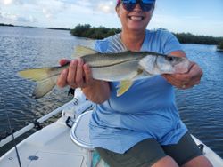 Snook fish caught while fishing
