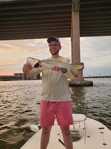 Snook fish caught during fishing in Edgewater