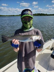 Spotted Weakfish, 16 inches, fishing