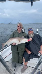 Redfish Delights In Panama Waters