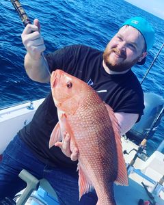 Red Snapper Catch in Panama City Fishing Trips
