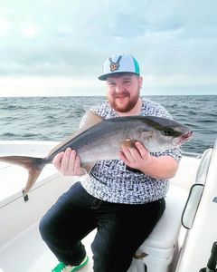 Let's Get Hooked on Fishing Amberjack!