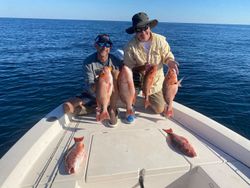 The Joy of Panama City Fishing Red Snapper!