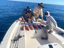 Savor the Catch of the Day in Panama City FL