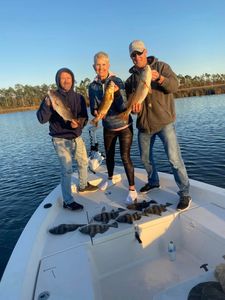 Fishing for the Perfect Day in Panama City!