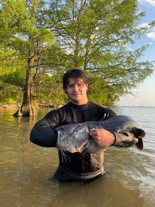 Two anglers catching a big fish at Lockesburg