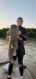 Catching a Channel Catfish in AR