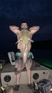 A person fishing in Lockesburg