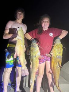 3 channel catfish, 28 inches, caught while fishing in Lockesburg