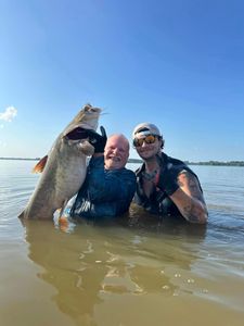 White catfish caught in AR