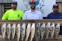 Black Drum and Redfish in Corpus Christi, TX