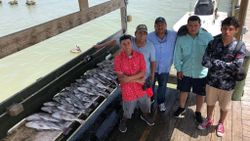 Black Drum in Corpus Christi, TX