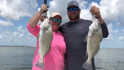 Black Drum in Corpus Christi, TX