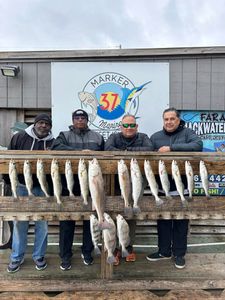 Spotted Weakfish, Black Drum, Redfish, and other fish caught by 5 anglers in TX