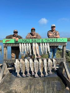10 Redfish and Black Drum caught in TX