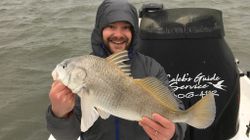 Black Drum fish caught in Corpus Christi
