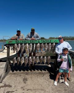 A black drum fish caught in Corpus Christi, Texas
