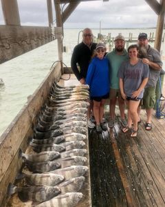 Black Drum fish caught in Corpus Christi, Texas