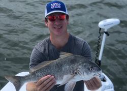 A photo of a black drum fish caught in TX