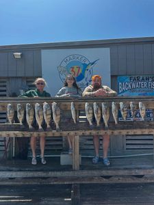 Fishing catch display of black drum and speckled trout on wooden dock in Corpus Christi TX