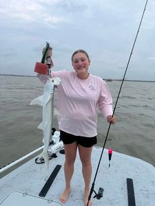 Bonnethead shark caught while fishing in Corpus Christi